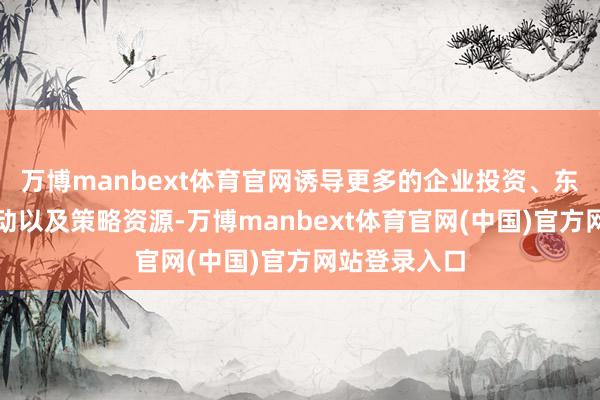 万博manbext体育官网诱导更多的企业投资、东说念主才流动以及策略资源-万博manbext体育官网(中国)官方网站登录入口